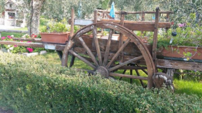 Отель Appartamenti Ceccherini  Мальчезине